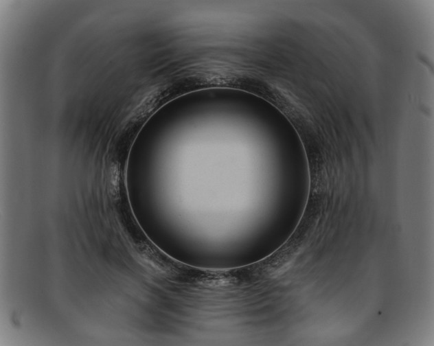 X0000091880646200709121414