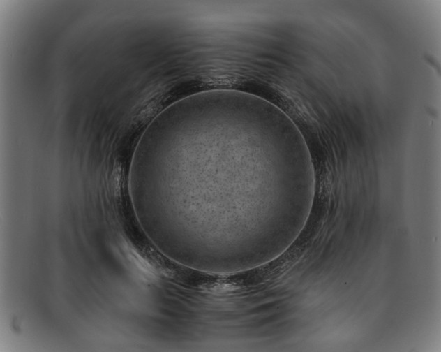 X0000091880647200709121414