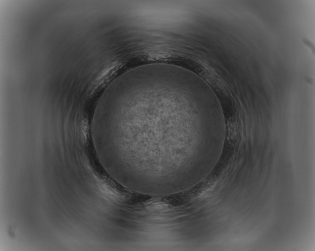 X0000091880648200709121414