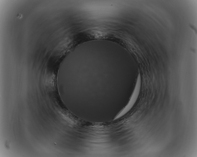 X0000091880650200709121414