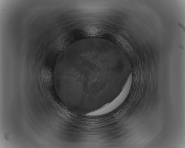 X0000091880653200709121414