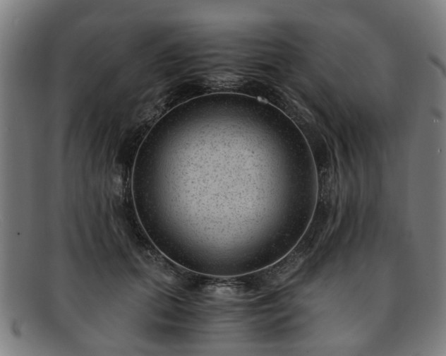 X0000091880655200709121414