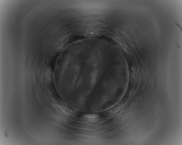 X0000091880659200709121414