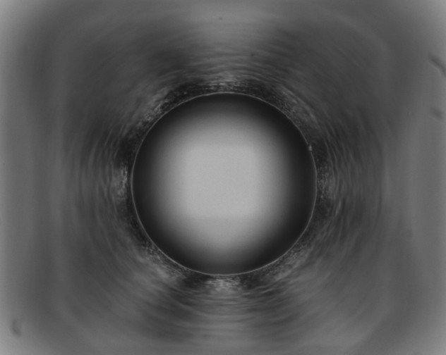 X0000091880660200709121414