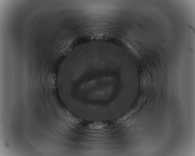 X0000091880661200709121414