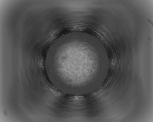 X0000091880663200709121414
