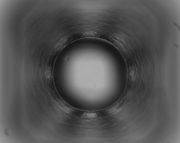 X0000091880665200709121414