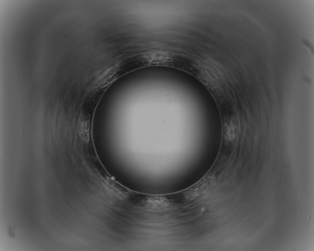 X0000091880666200709121414