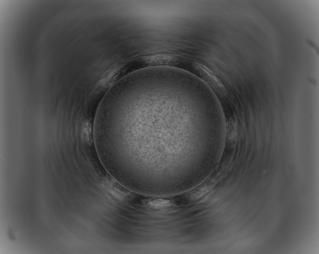 X0000091880669200709121414