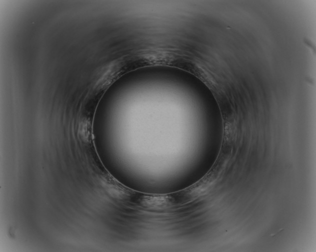 X0000091880671200709121414