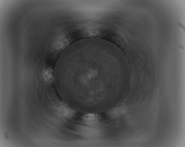 X0000091880672200709121414