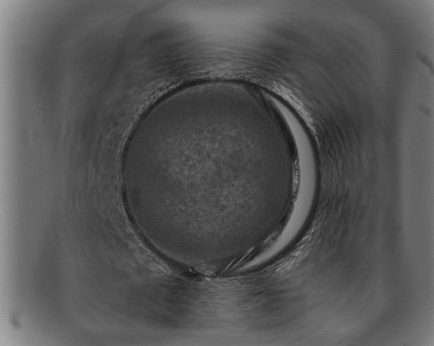 X0000091880673200709121414