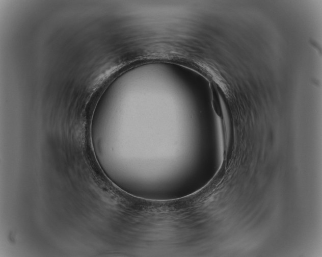 X0000091880675200709121414