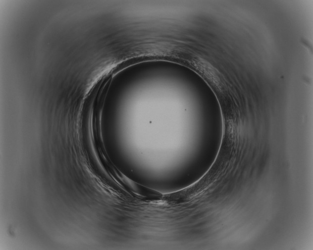 X0000091880676200709121414
