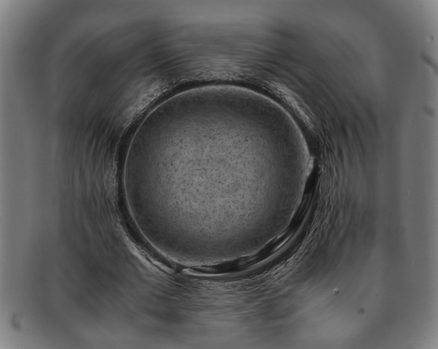 X0000091880677200709121414