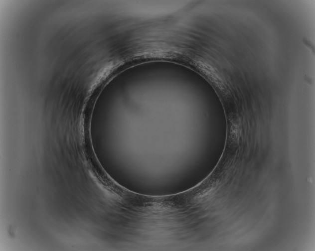 X0000091880678200709121414