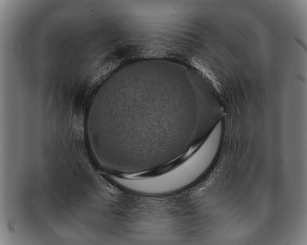 X0000091880681200709121414