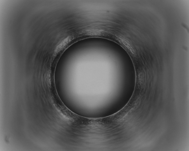 X0000091880682200709121414