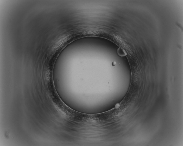 X0000091880683200709121414