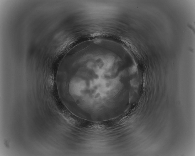 X0000091880691200709121414
