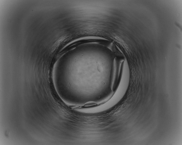X0000091880693200709121414