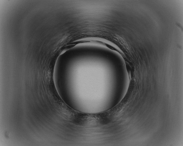 X0000091880697200709121414