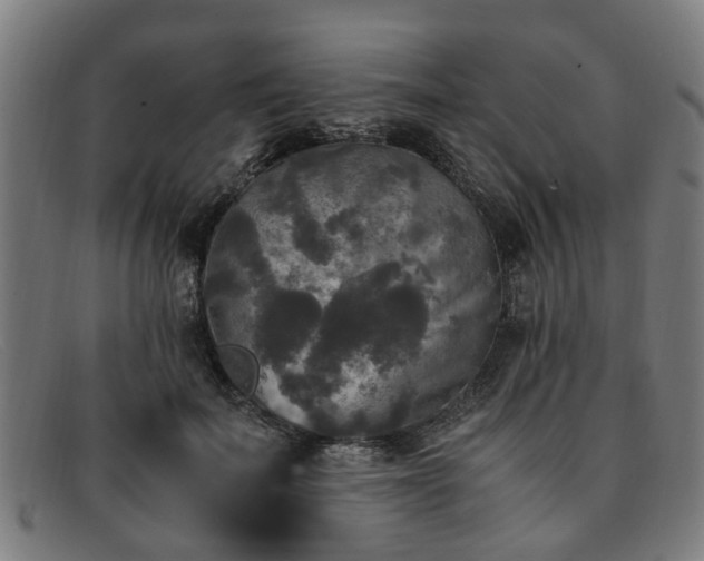 X0000091880699200709121414