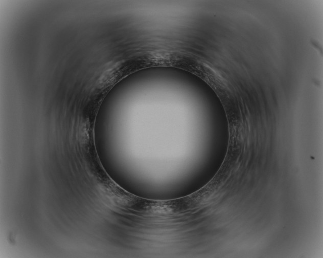 X0000091880702200709121414