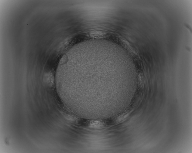 X0000091880705200709121413