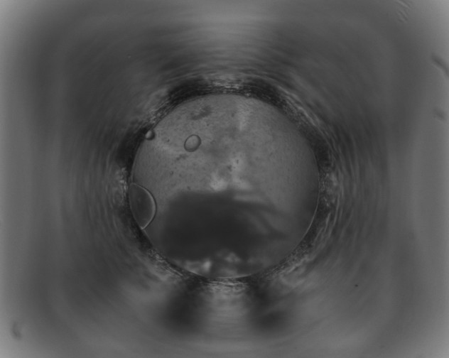 X0000091880707200709121413