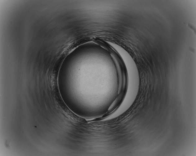X0000091880708200709121413