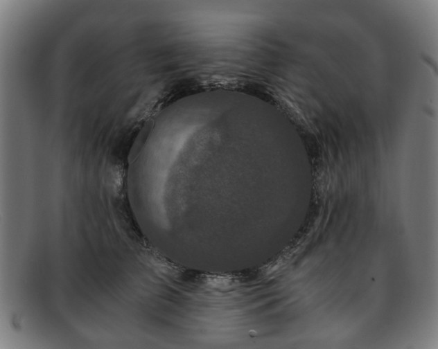 X0000091880709200709121413