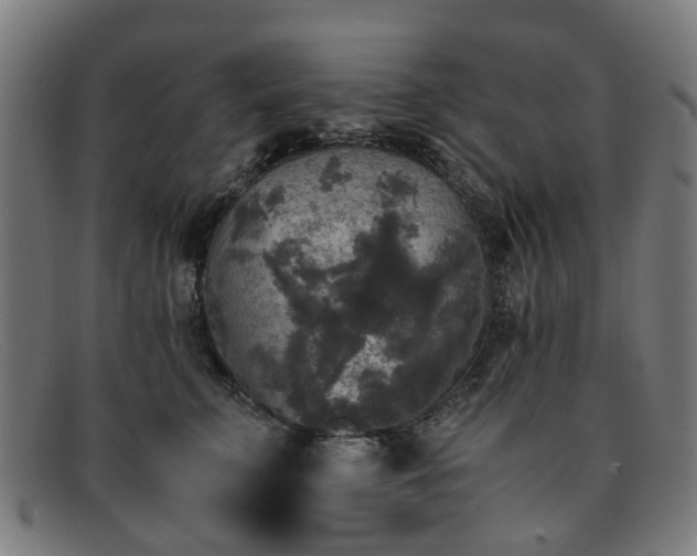 X0000091880711200709121413