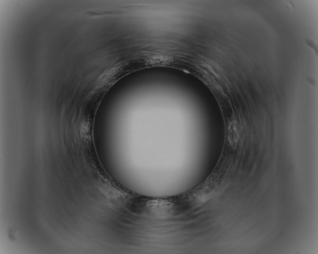 X0000091880714200709121413