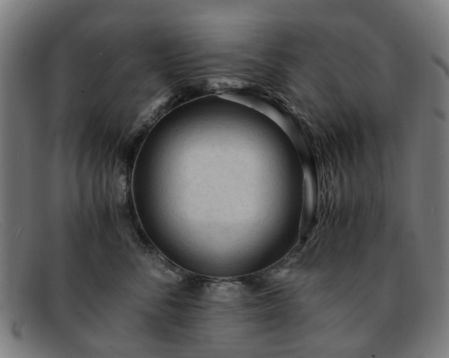 X0000091880716200709121413
