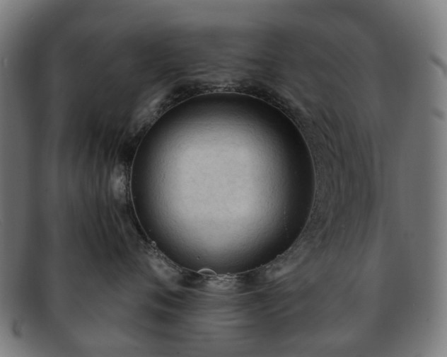X0000091880720200709121413