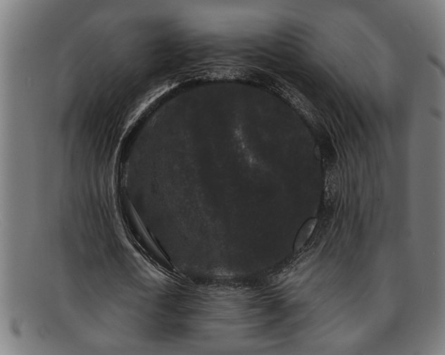 X0000091880722200709121413