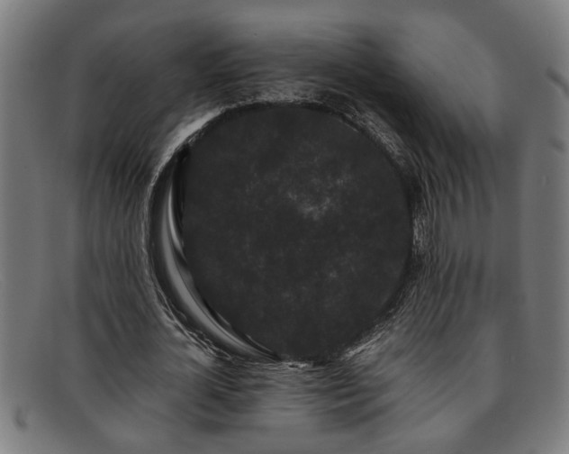 X0000091880724200709121413