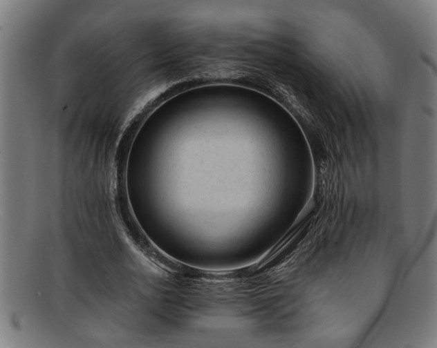 X0000091880726200709121413