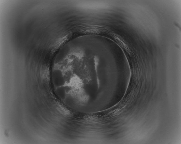 X0000091880729200709121413
