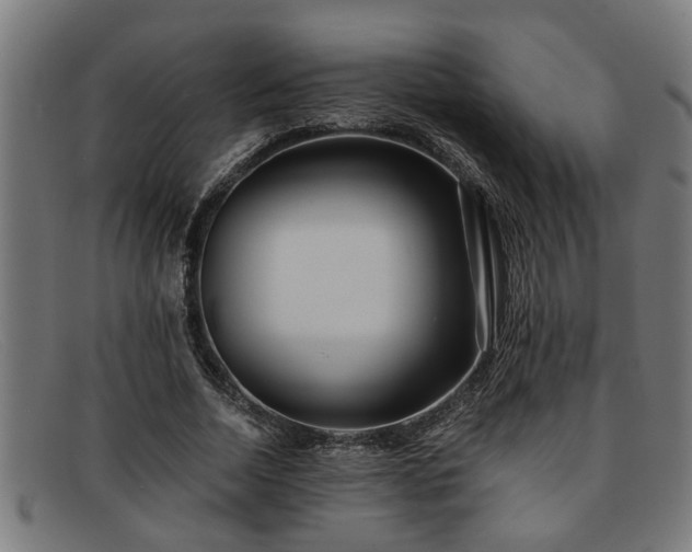 X0000091880730200709121413