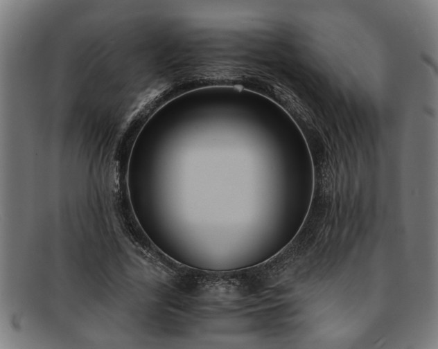 X0000091880731200709121413