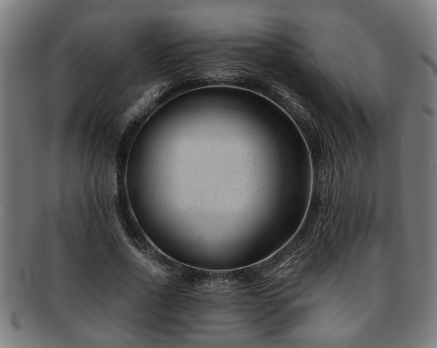 X0000091880734200709121413