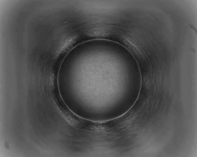 X0000091880735200709121413