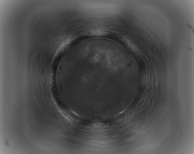 X0000091880736200709121413