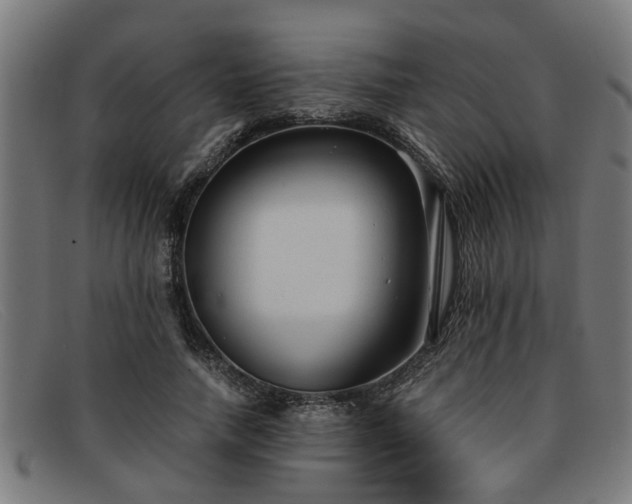 X0000091880738200709121413