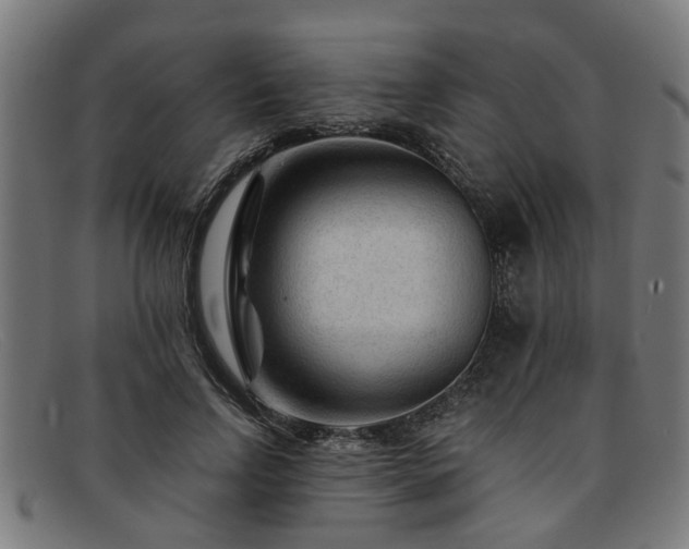 X0000091880742200709121413