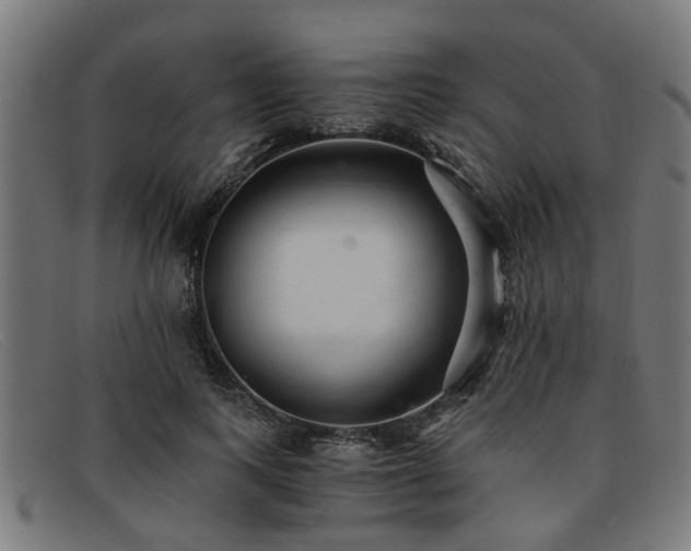 X0000091880743200709121413