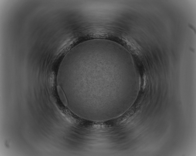X0000091880744200709121413
