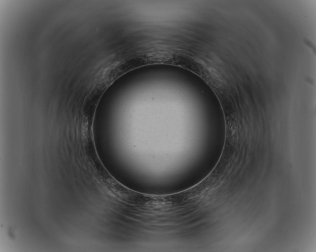 X0000091880745200709121413